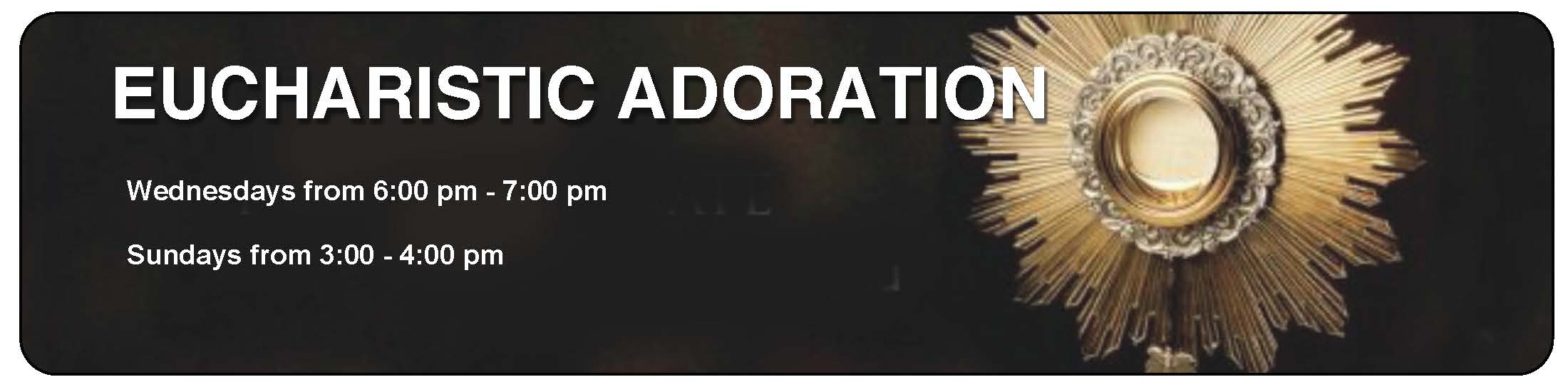 adoration%20banner%20st%20Mary%20copy